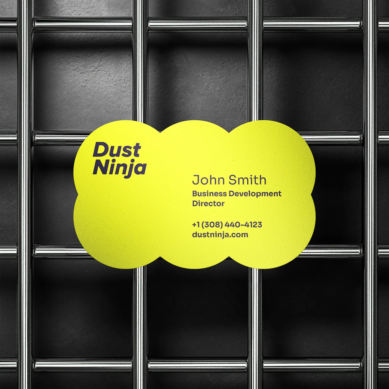 Фирменная визитная карточка DustNinja