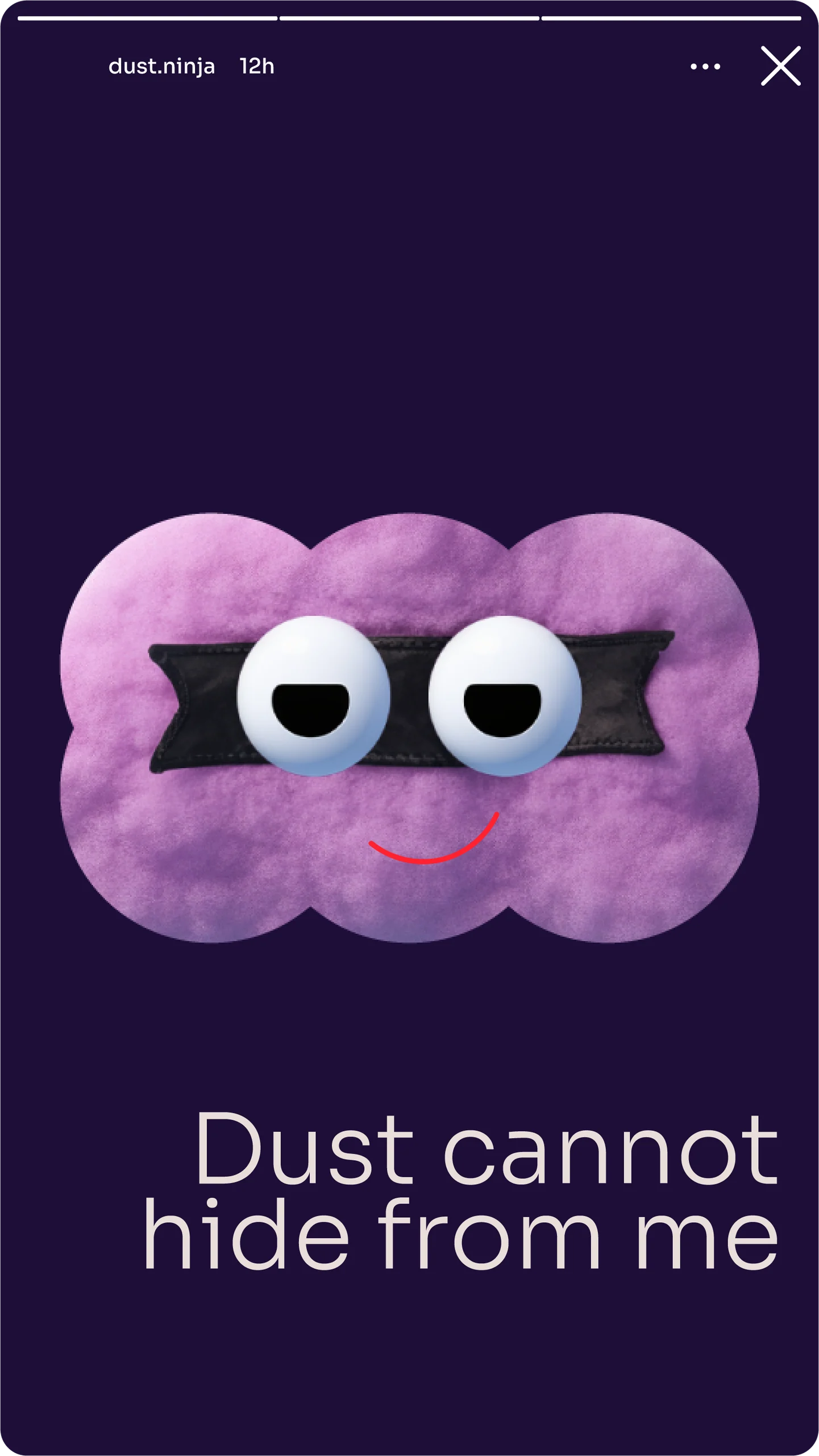 Сторис DustNinja 24