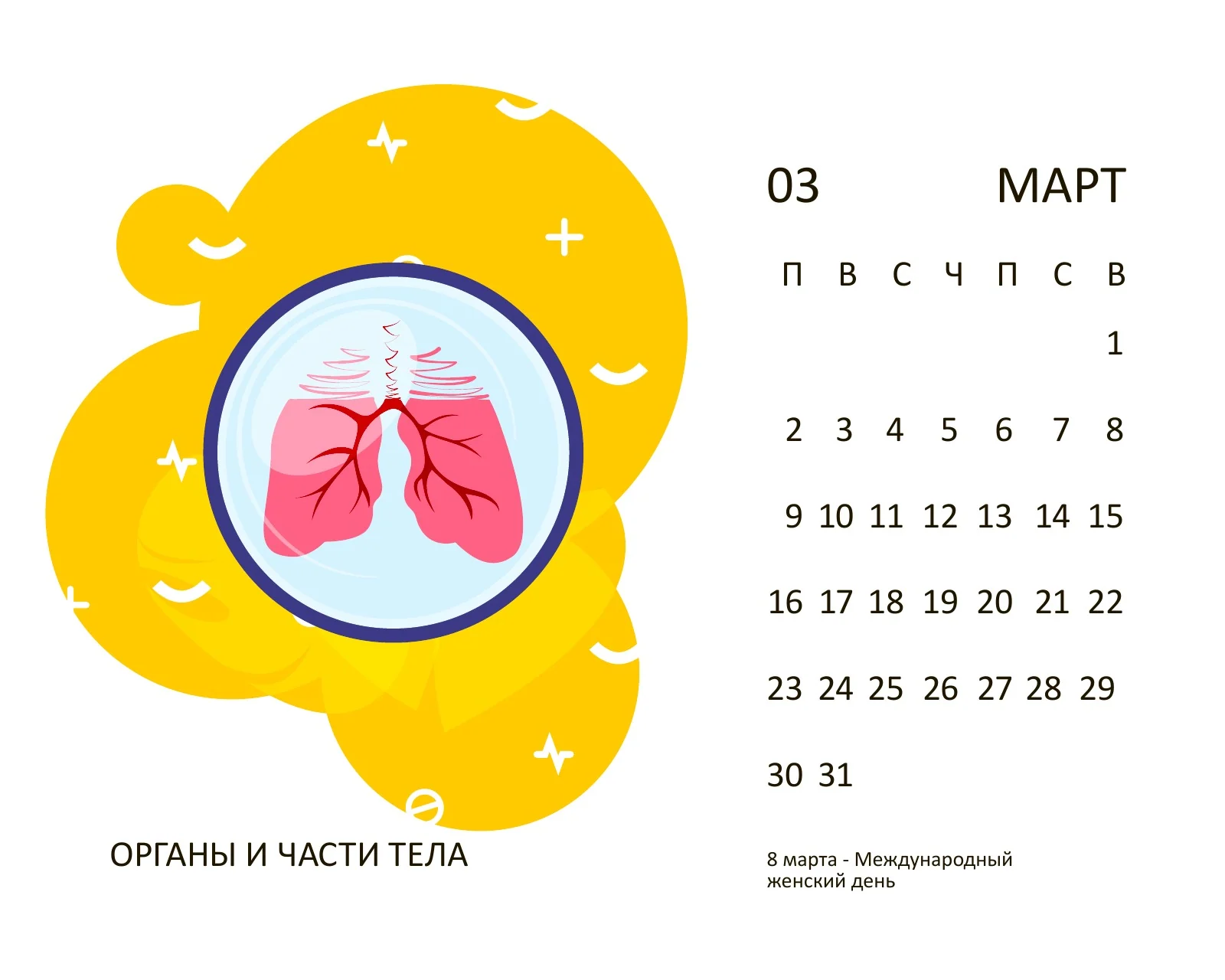 Март 2020: органы и части тела