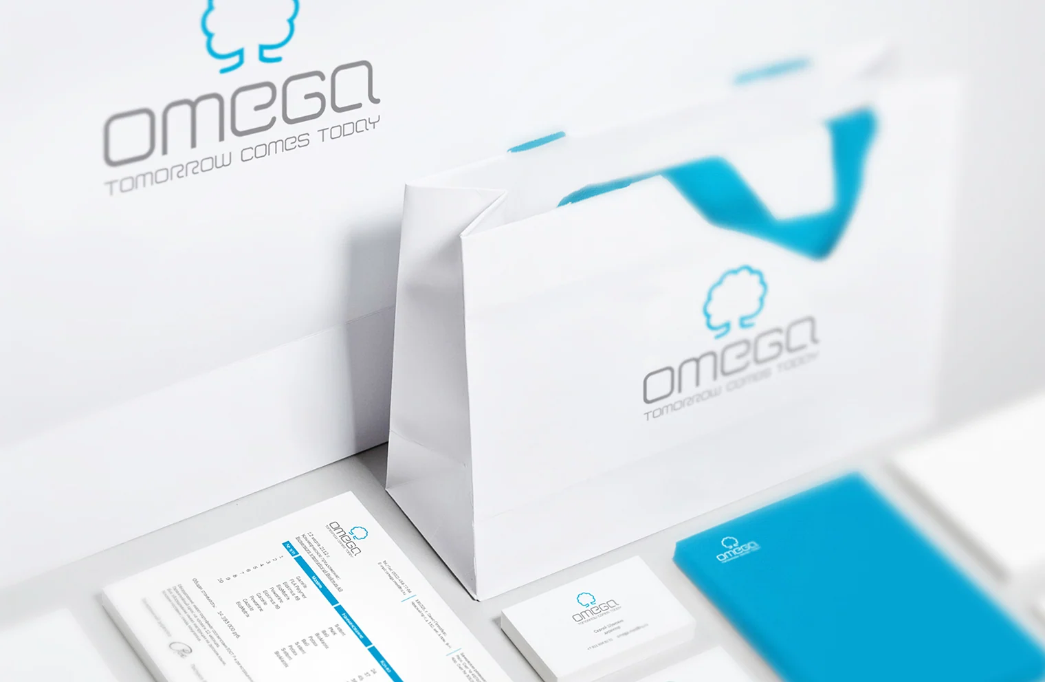 Фирменные пакеты, документы и визитки OMEGA