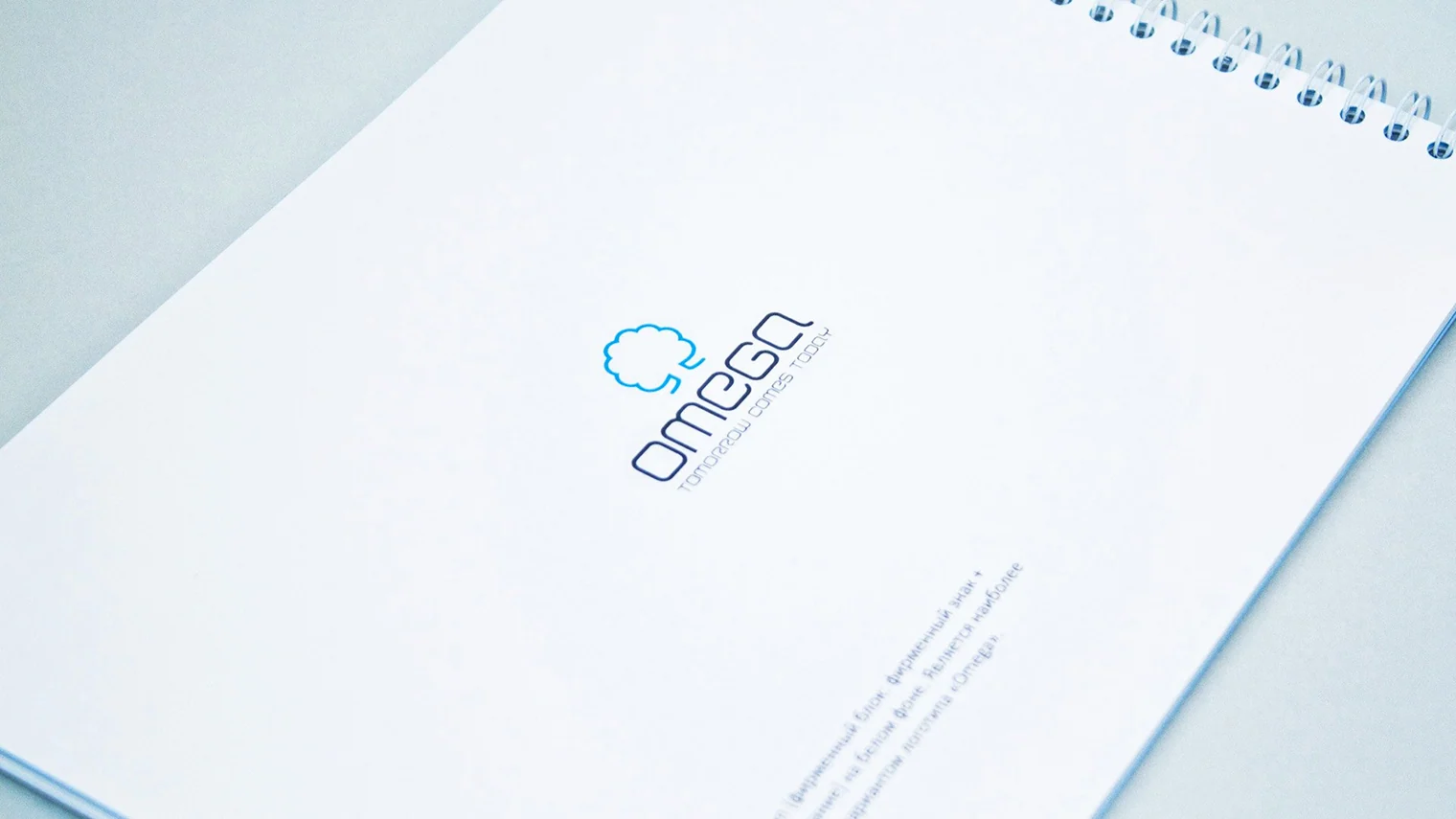 Разворот брендбука OMEGA